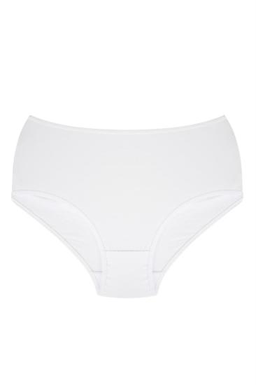 Hkursat Kadın Büyük Beden Külot Beyaz 40264